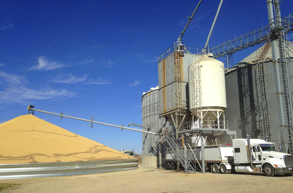 A truck is loaded with corn next to a pile of soybeans at Matawan Grain & Feed elevator near New Richland.