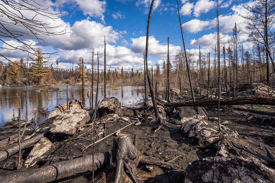 Remnants of the Greenwood fire that burned from August to September 2021 near Isabella, Minnesota, in the Superior National Forest.