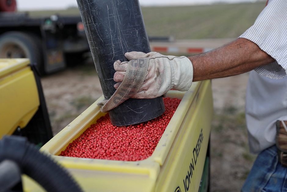 A soybean seeding container being replenished with soybean seeds.