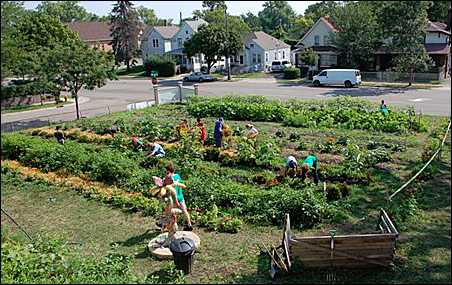 Like the Victory Gardens of the 1940s, growing spaces are cropping up in empty spaces to grow and share food.